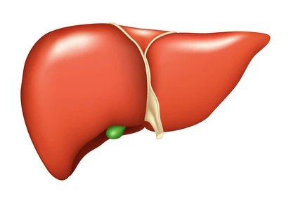 Behandlung der chronischen Hepatitis B Gesundheitscheck Vorsorgeuntersuchung Diagnoseklinik