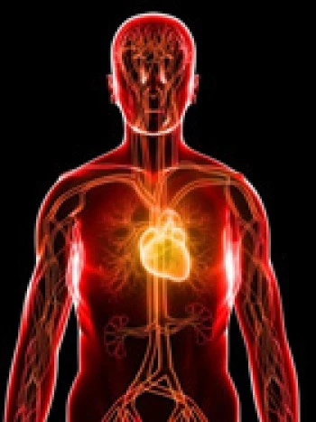 Erhöhter Cholesterinspiegel – eine tickende Zeitbombe
