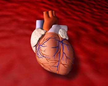 Herzinfarkt: Anzeichen und Risiken frühzeitig erkennen