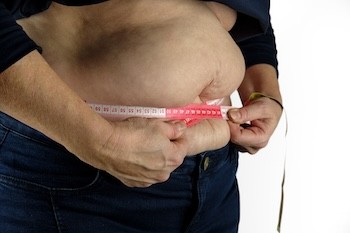 Übergewicht und die Auswirkungen auf Herz, Nieren und Stoffwechsel