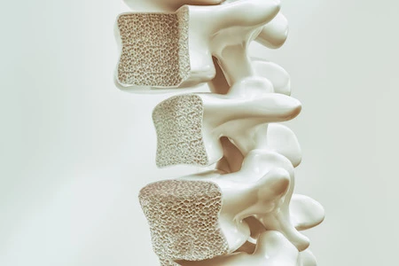 Kalzium - nicht nur zur Vorbeugung der Osteoporose wichtig